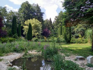 2025-09-09 027 (800x600)